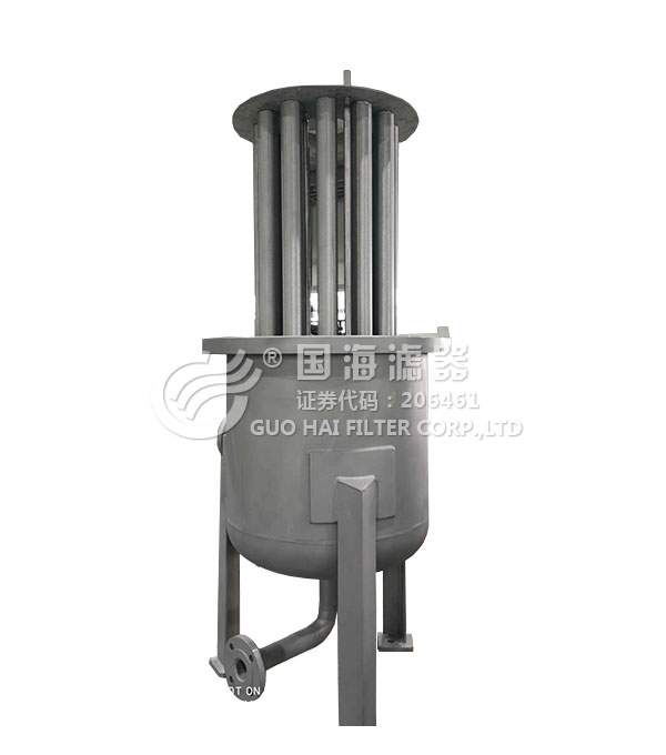 不銹鋼316L反沖洗過濾器