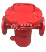 DN200自主生產(chǎn)籃式過濾器(325*650)