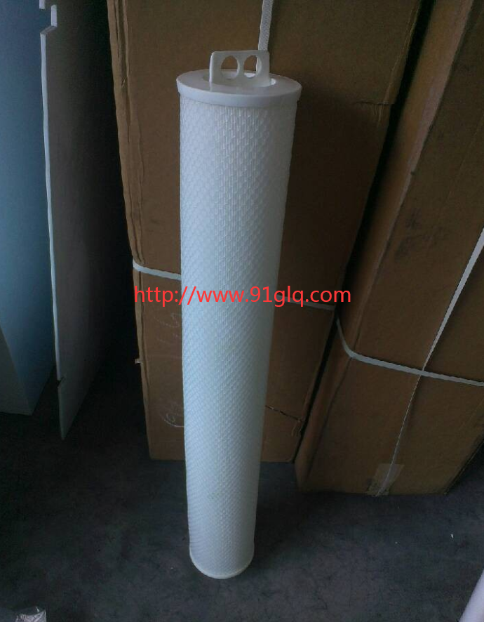 保安過濾器濾芯MFNP050-40N